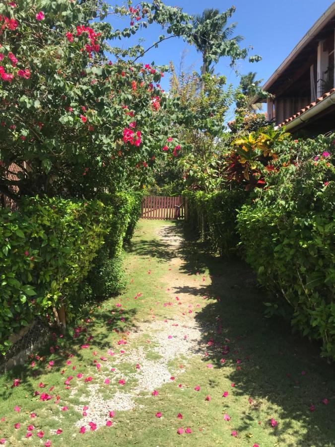 Cozy Oceanfront Villa With Direct Beach Access Las Terrenas Luaran gambar