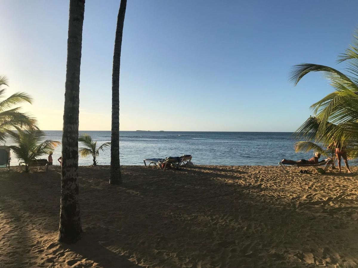 Cozy Oceanfront Villa With Direct Beach Access Las Terrenas Luaran gambar