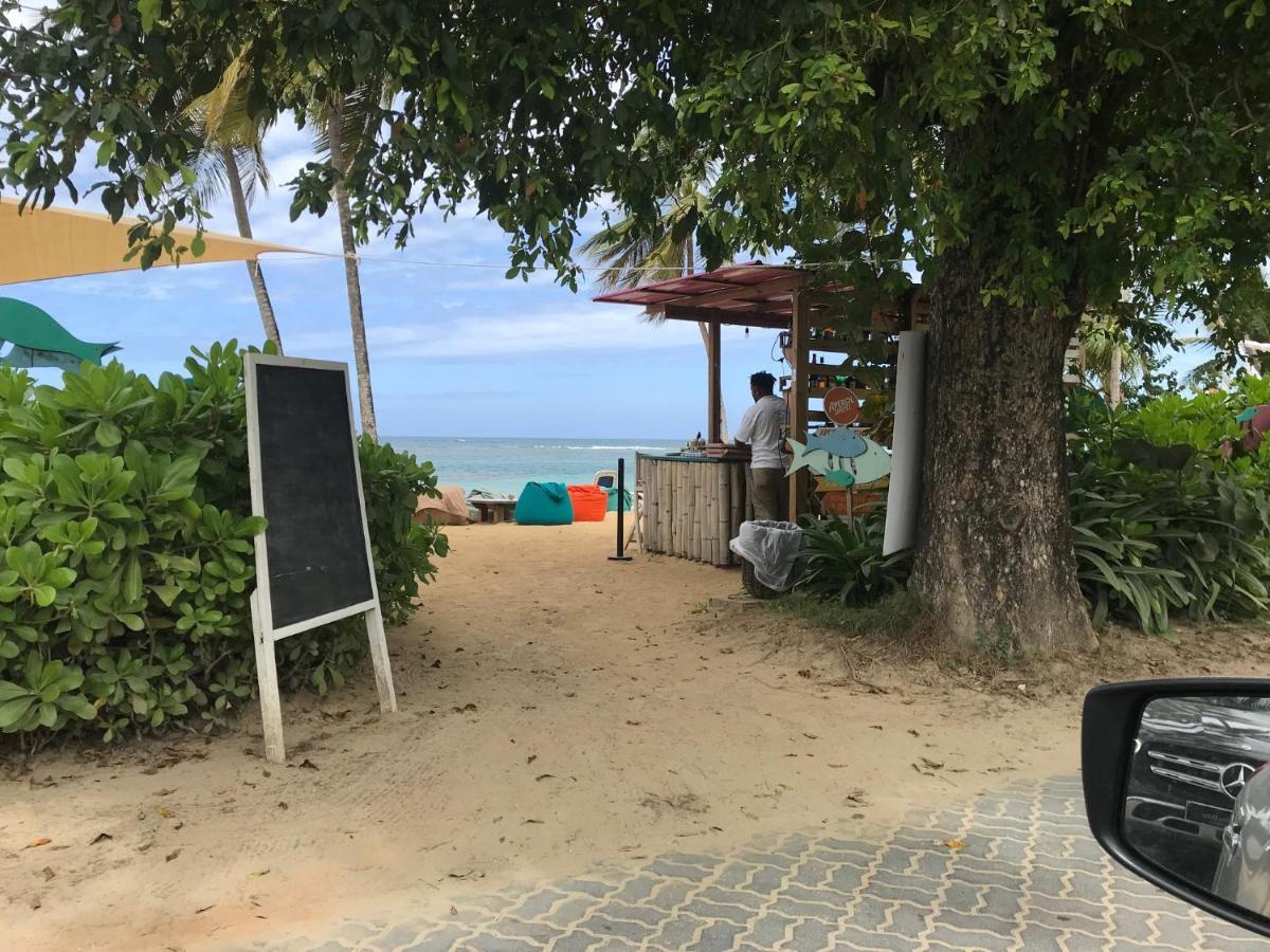 Cozy Oceanfront Villa With Direct Beach Access Las Terrenas Luaran gambar