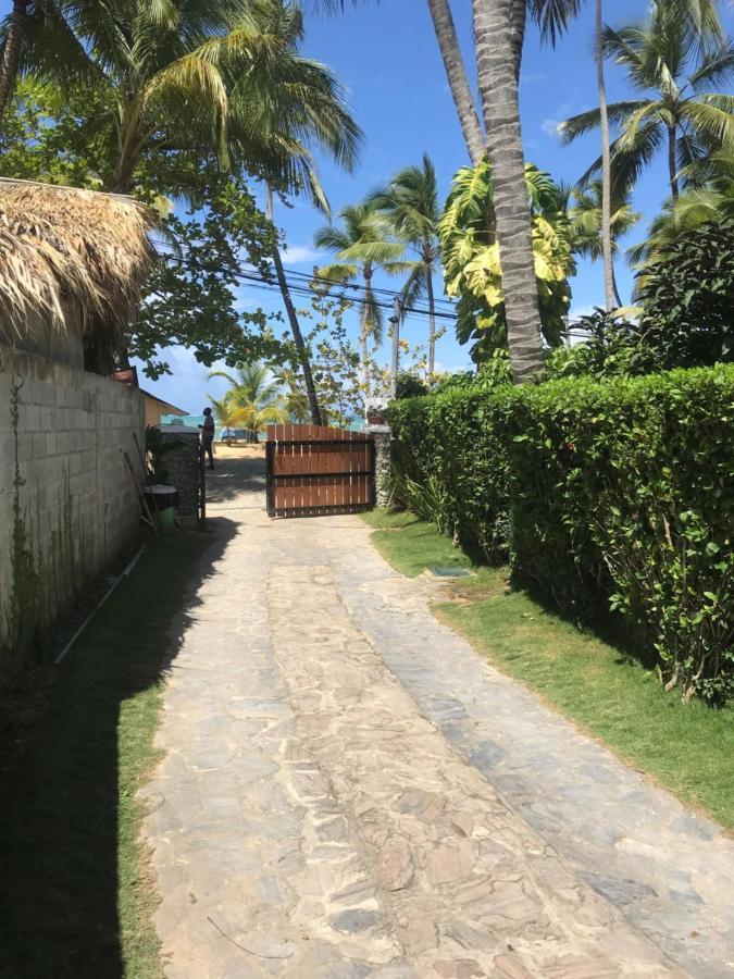 Cozy Oceanfront Villa With Direct Beach Access Las Terrenas Luaran gambar